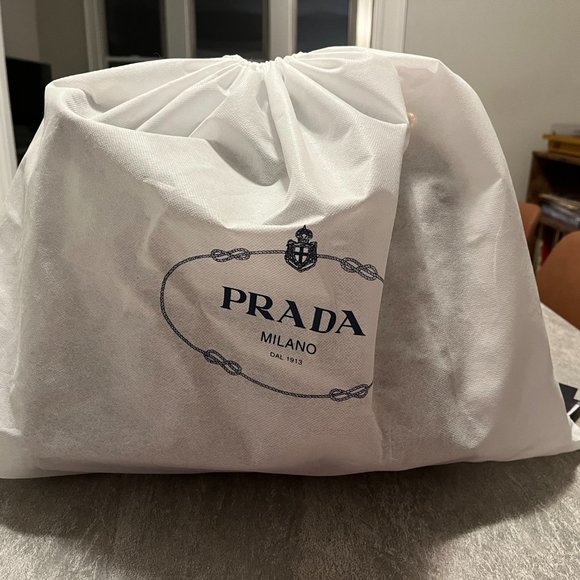 Prada Vitello Phenix Logo Hobo Taupe - Picture 4 of 7